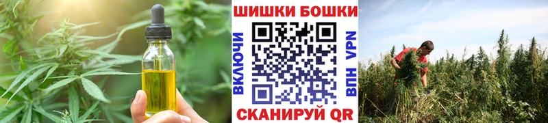 Еда ТГК марихуана  Купить закладки  Славгород 
