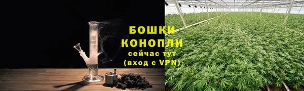 дурь Бородино