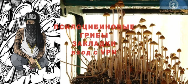 тгк Бугульма