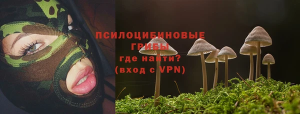 mdpv Богородицк