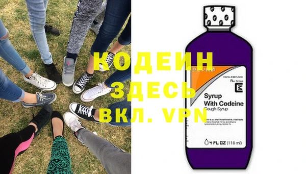 дурь Бородино
