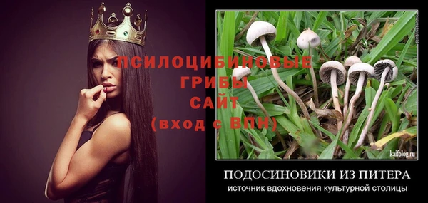 тгк Бугульма