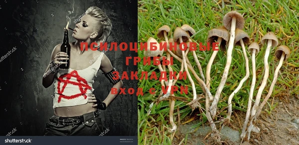тгк Бугульма