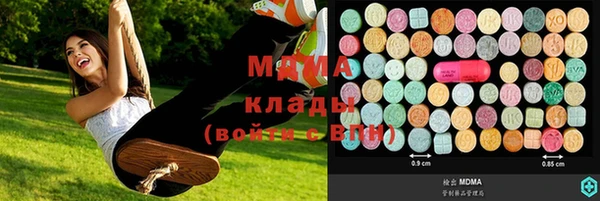 дурь Бородино