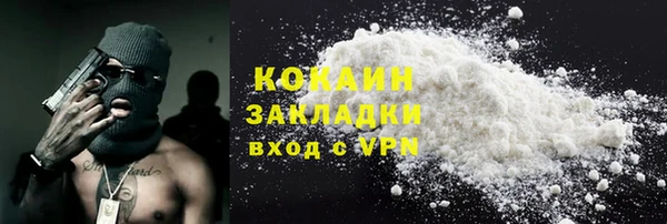 дурь Бородино