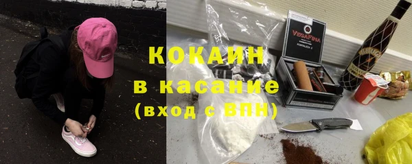 дурь Бородино